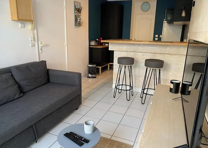 Apartment Avec Terrasse A 20 De La Chatelaillon-Plage